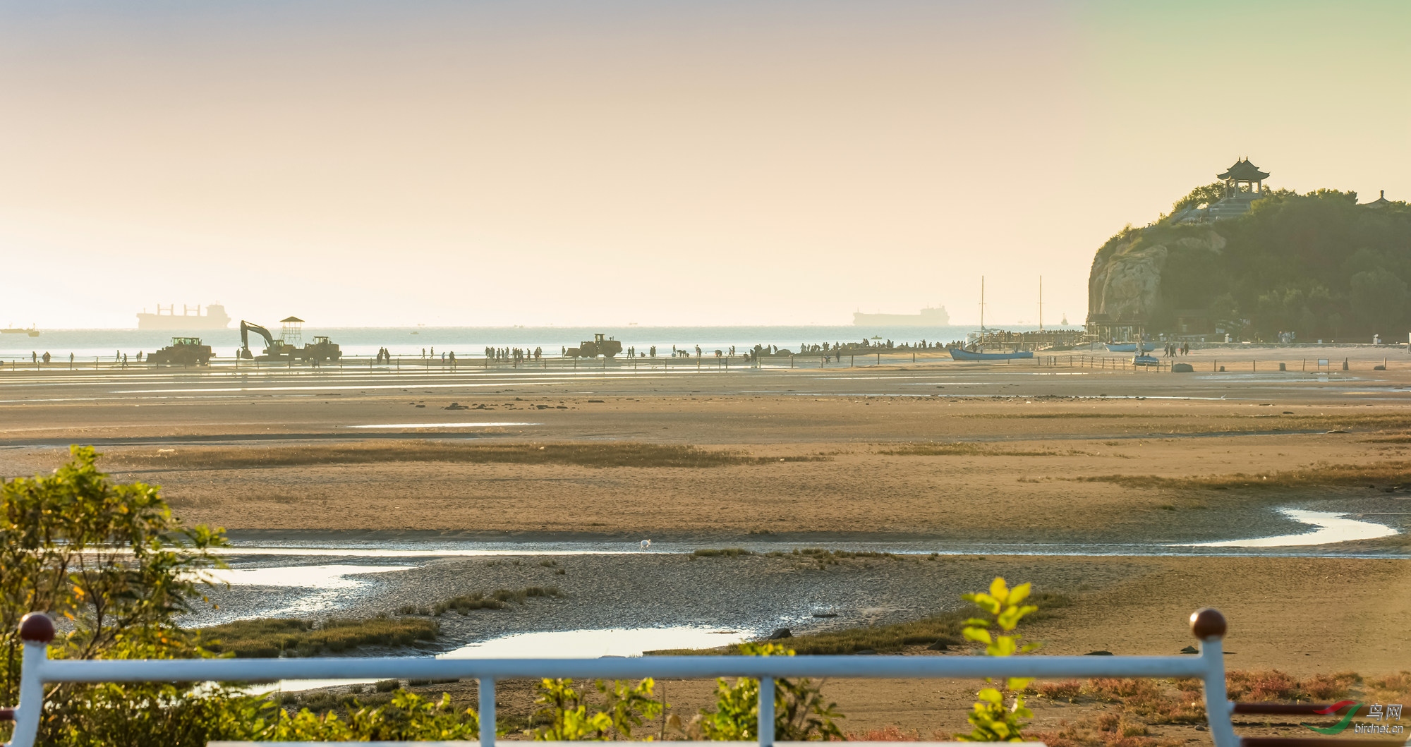 2020��9�³�������ʪ�ص�����