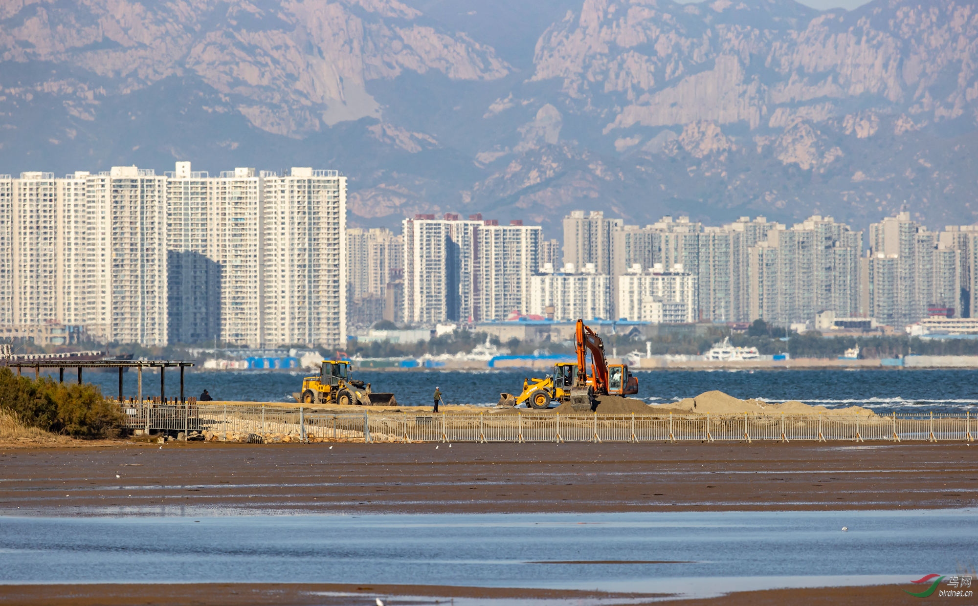 2020��10�½����ű�����ʪ�ص�����