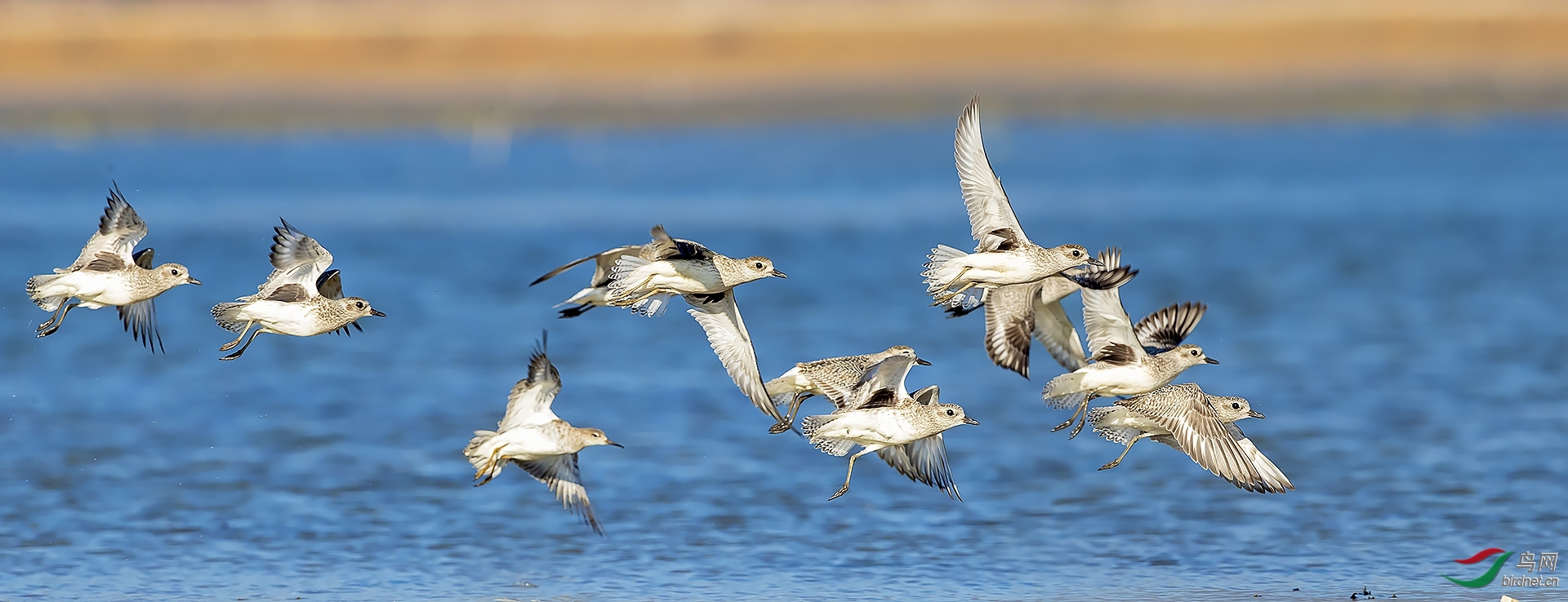 ����  ��ʦ����.jpg