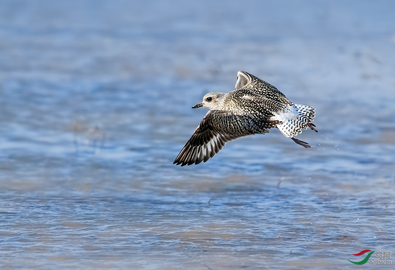 ����  ��ʦ����.jpg