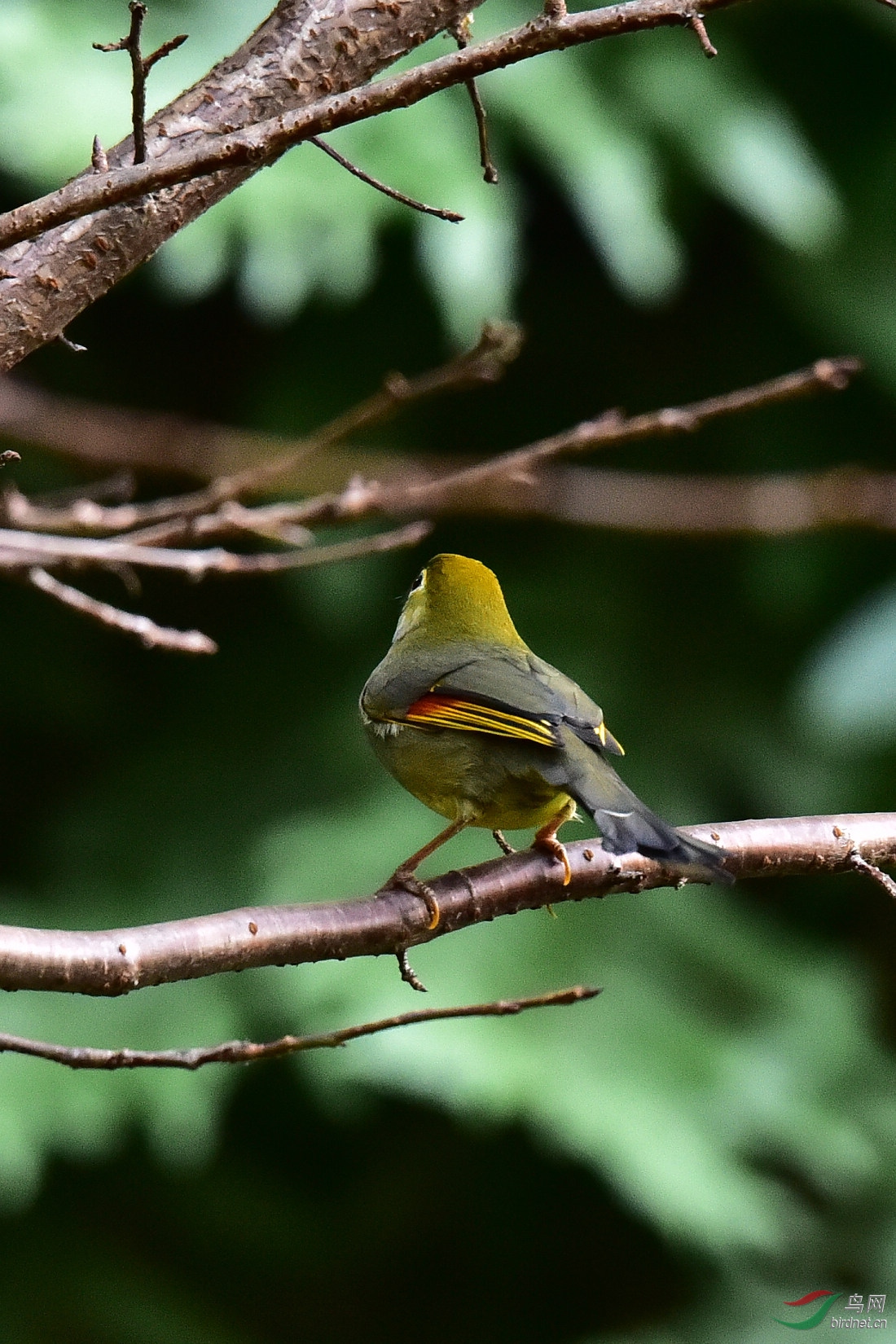 DSC_0886.JPG