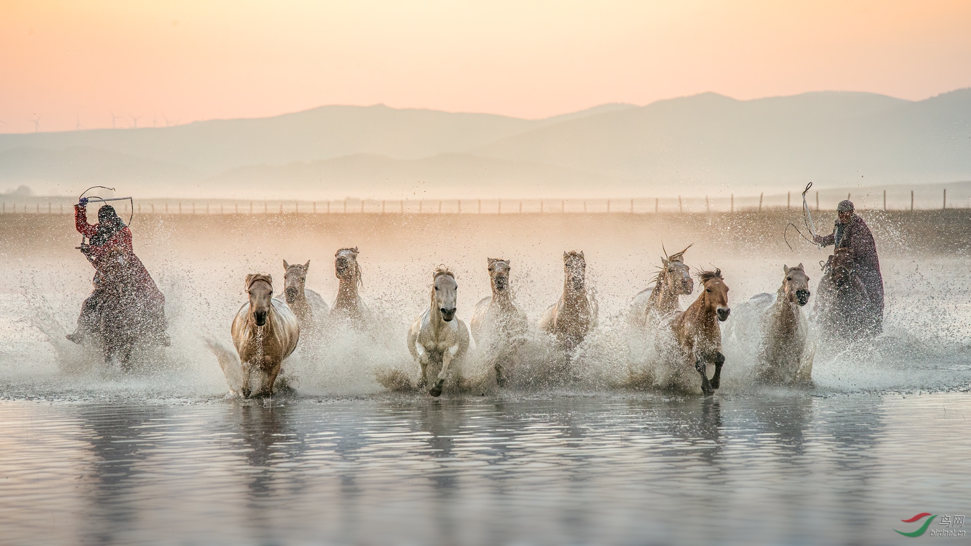 群马过河祝贺笑呵呵老师荣获首页综合精华