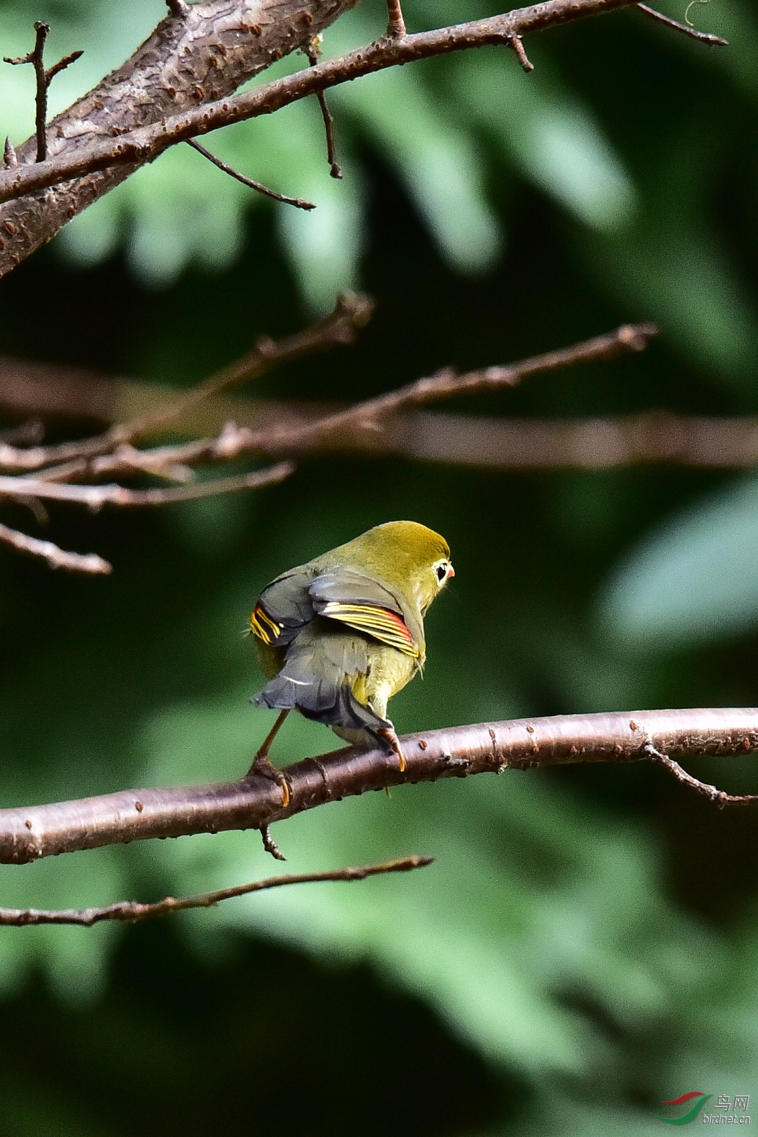 DSC_0887.JPG