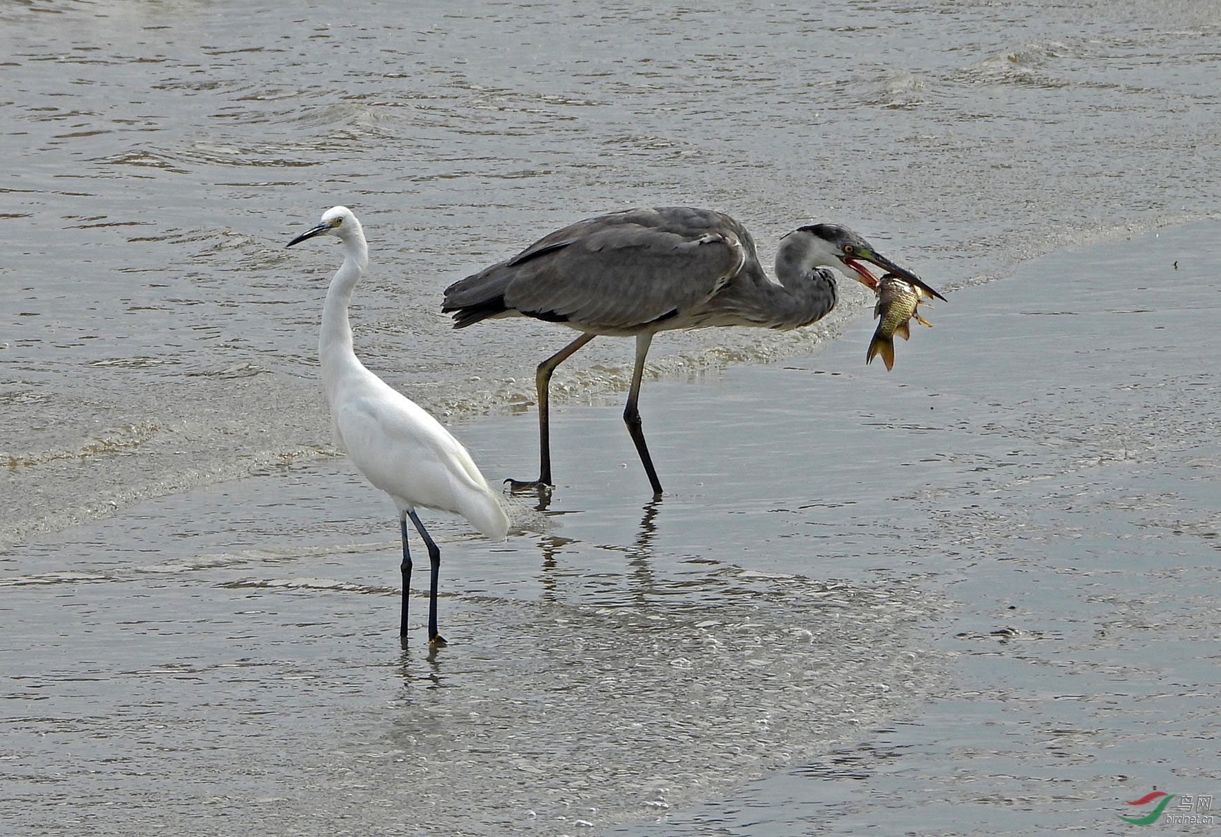 DSCN0460 副本 拷贝.jpg