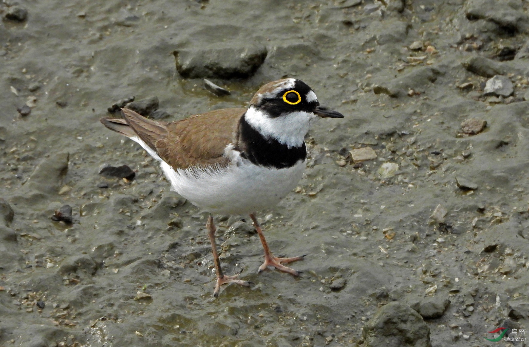 DSCN6715 副本 拷贝.jpg