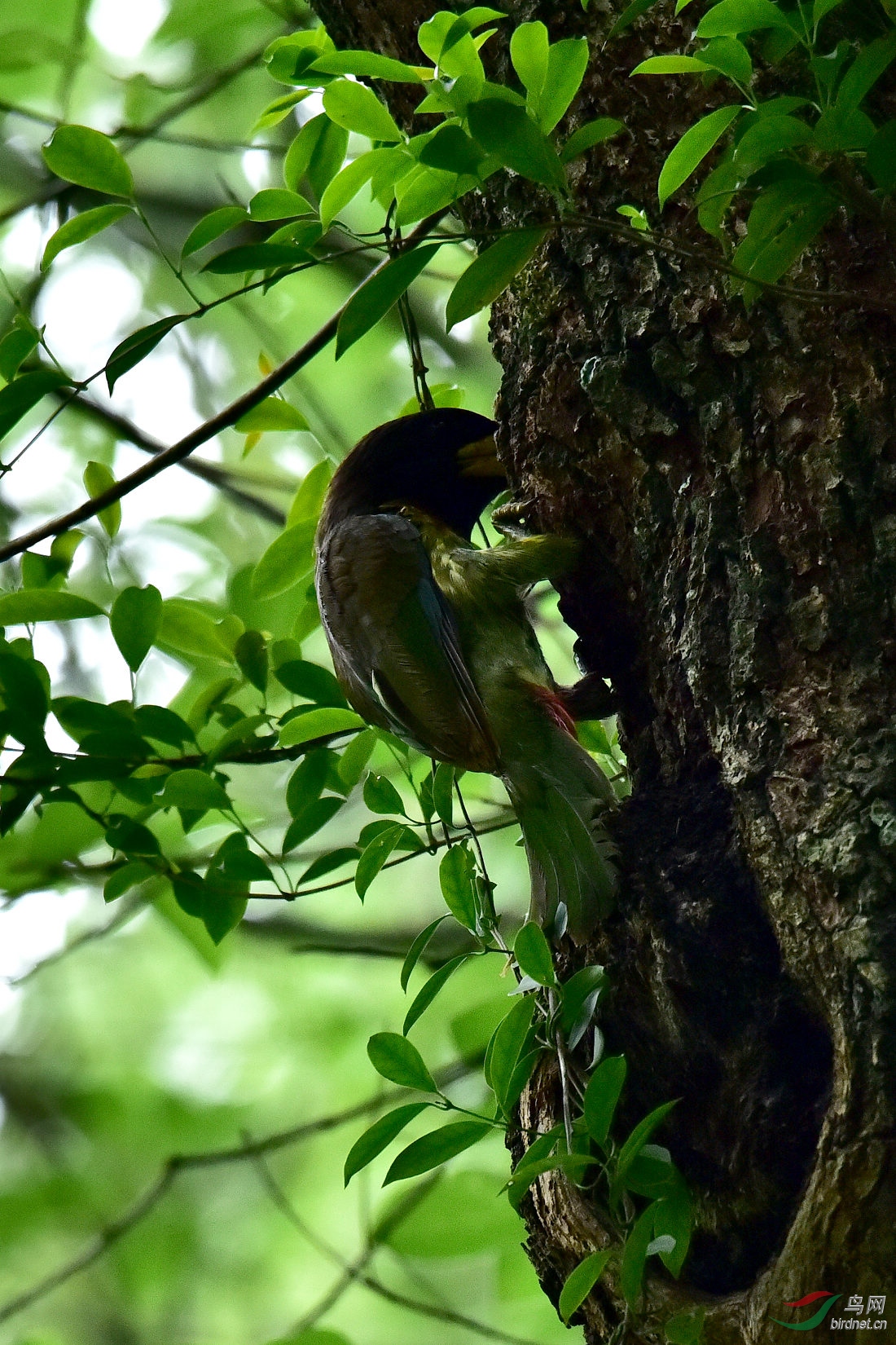 DSC_0085.JPG
