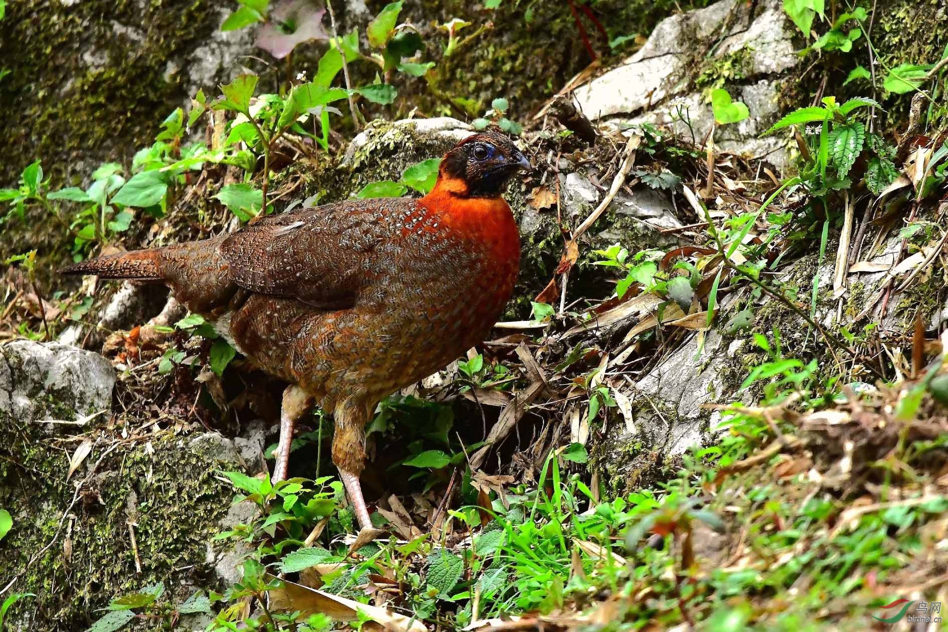DSC_6621_����.jpg