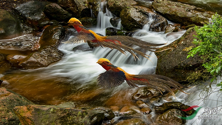 ɽ�� Ϫˮ����.jpg