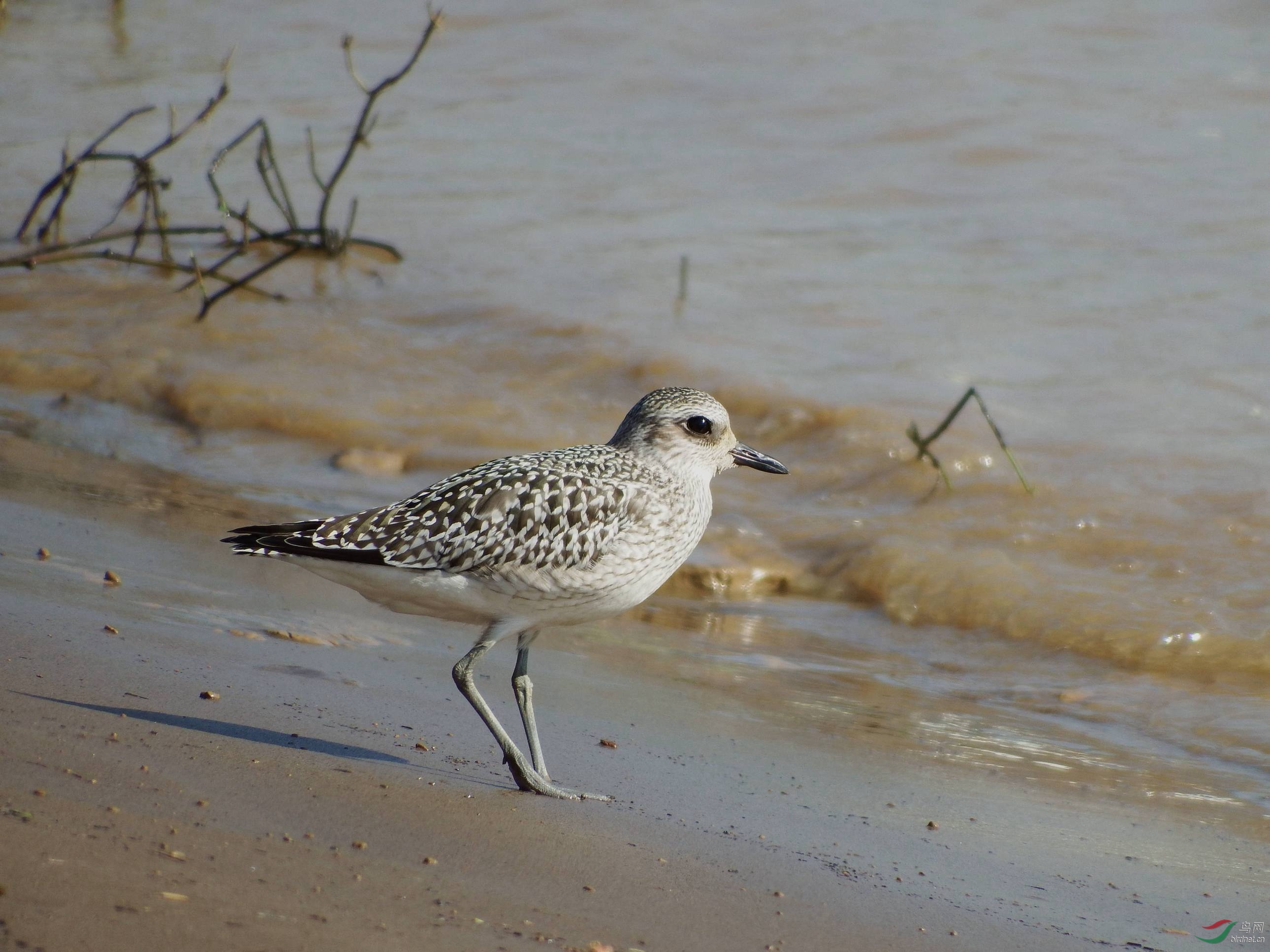 �����  ����{12��]