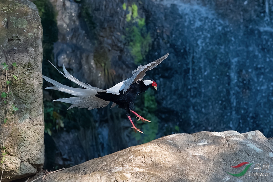 DSC_0788_DxOa.jpg