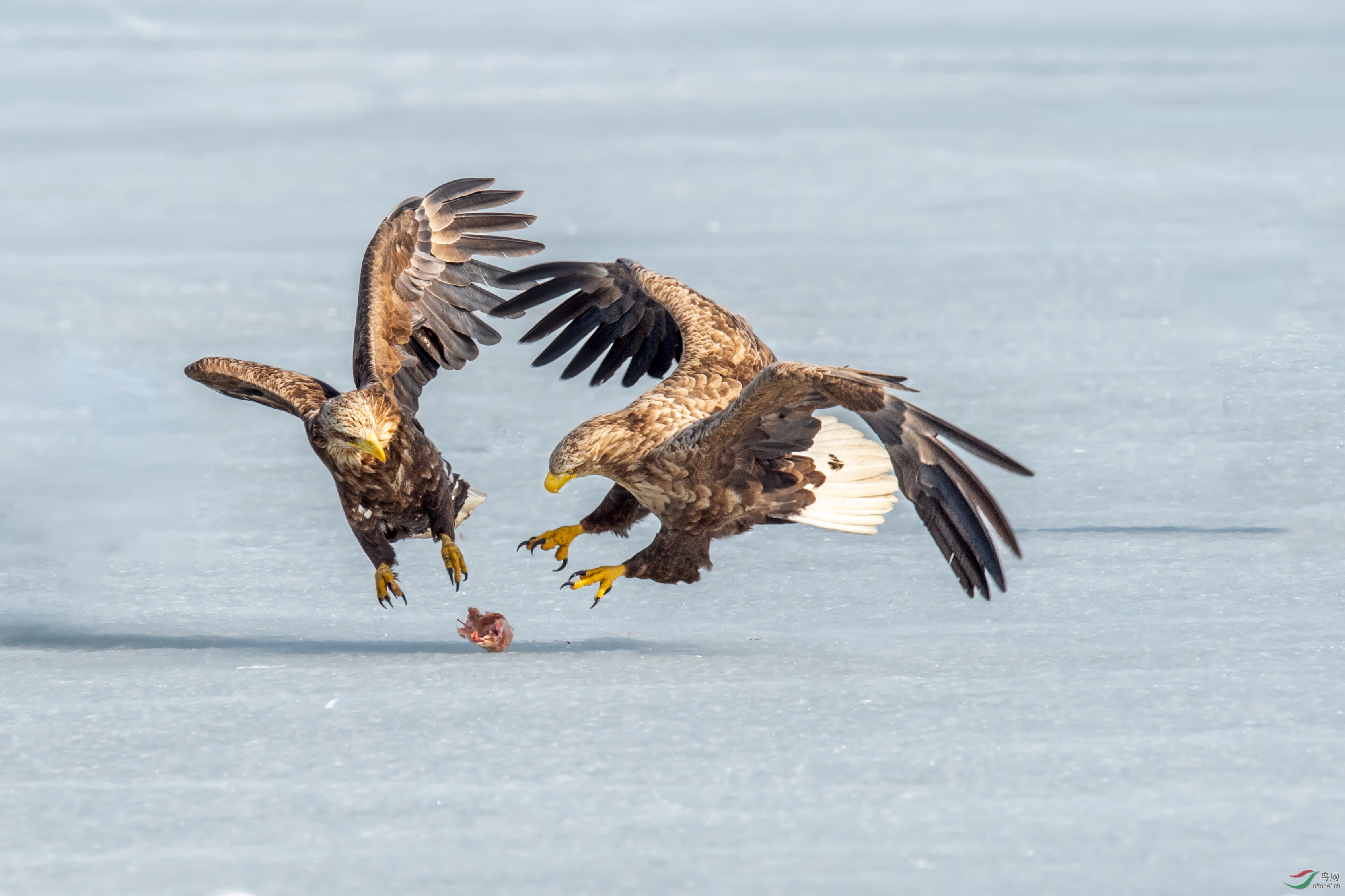 DSC_7673-1.jpg