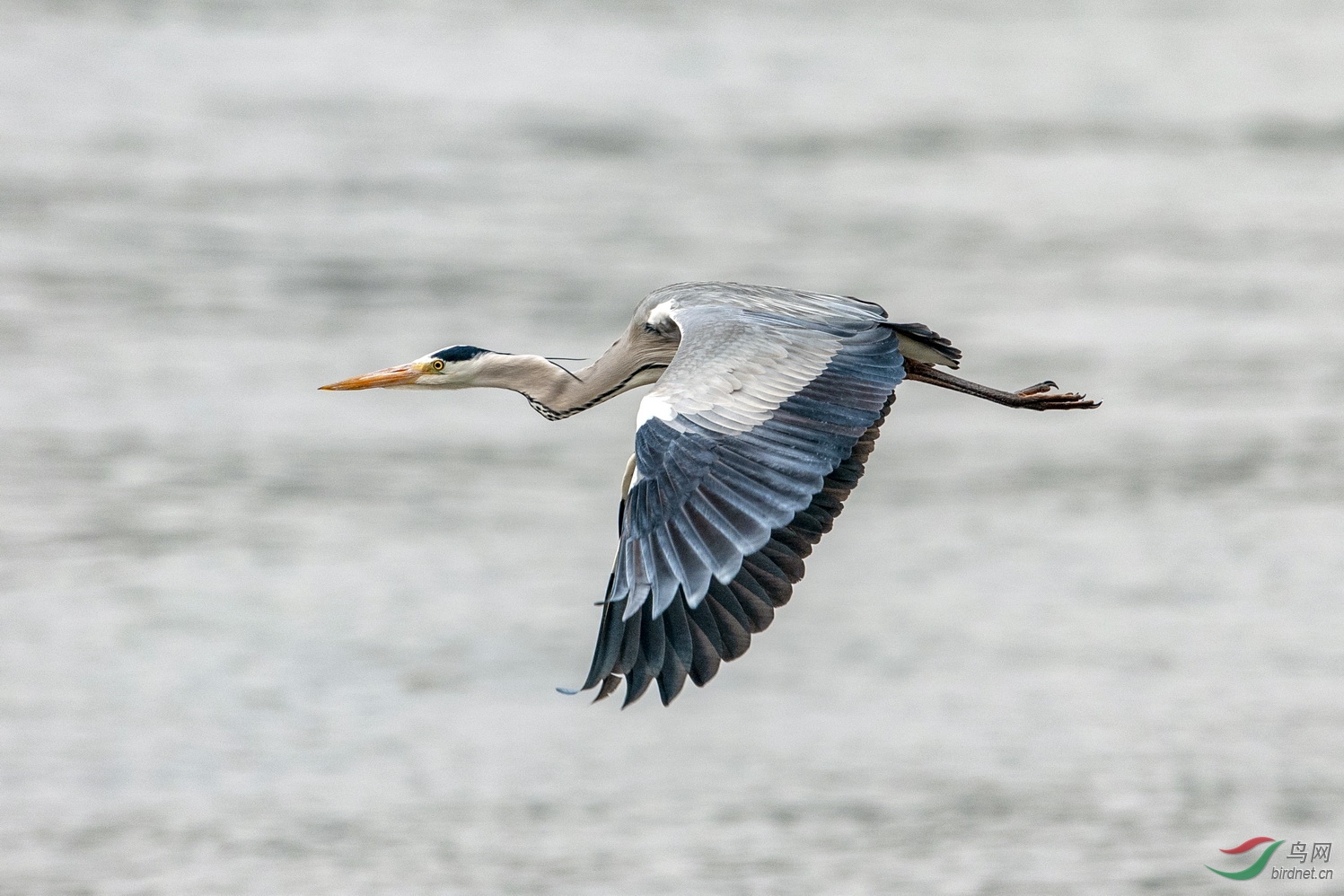DSC_5455.jpg
