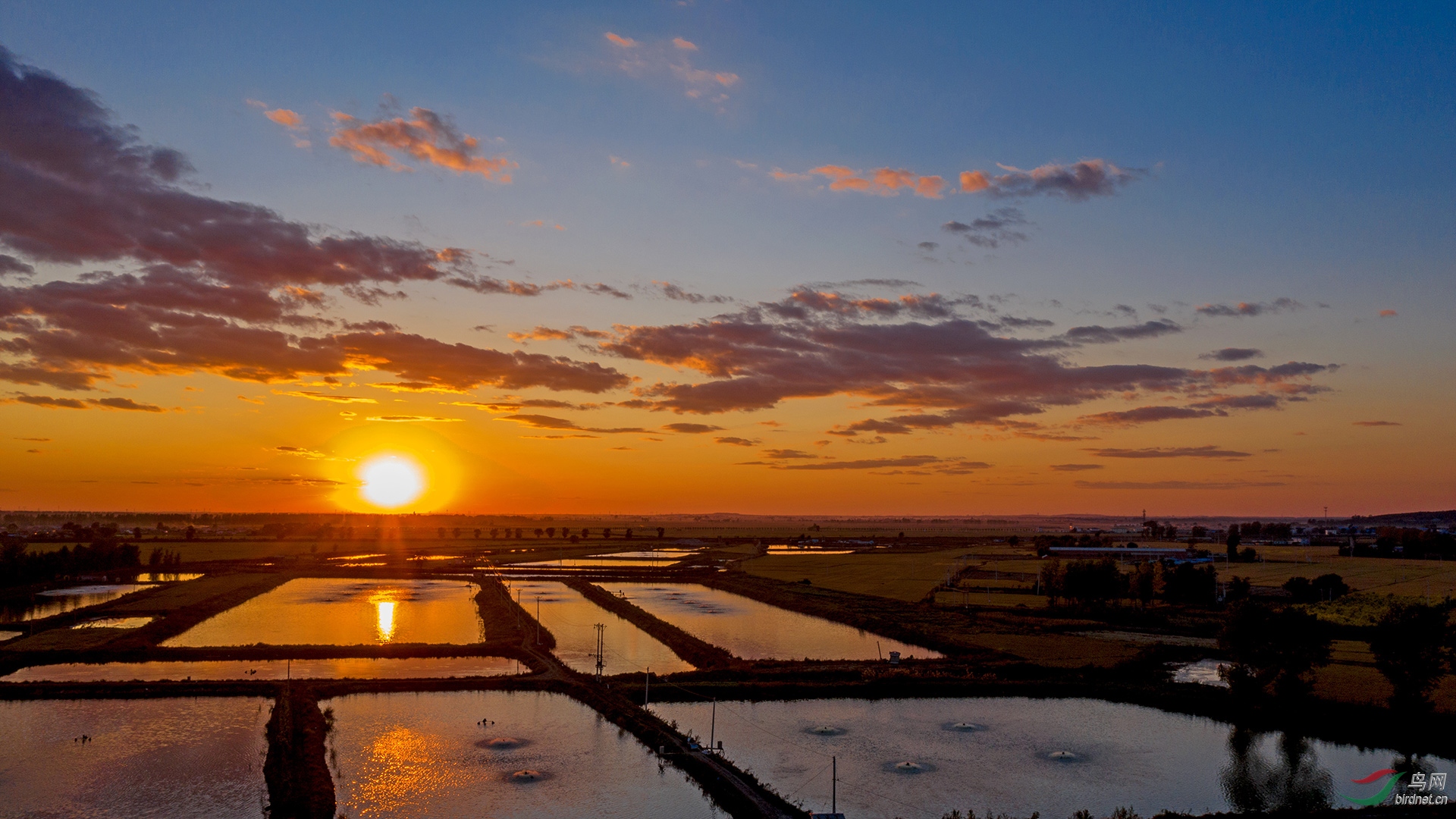 DJI_0207A.jpg