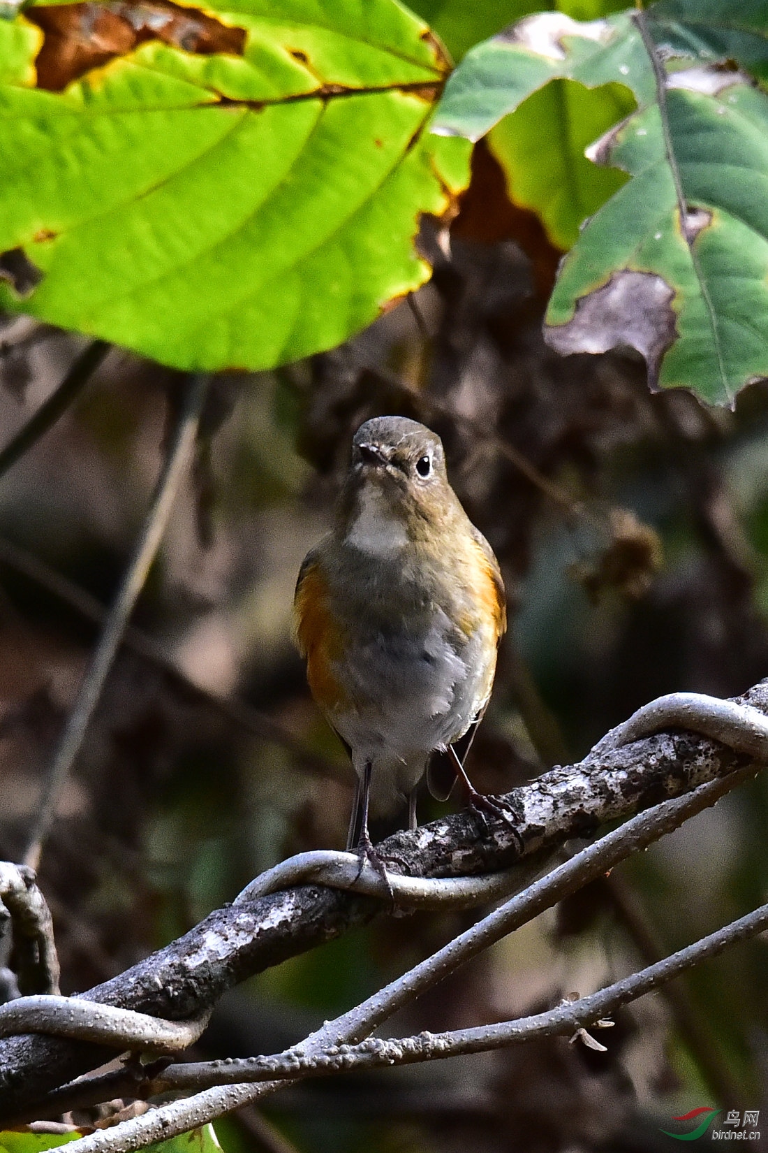 DSC_0741.JPG