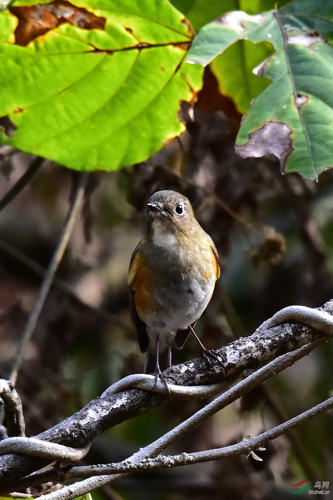DSC_0744.JPG