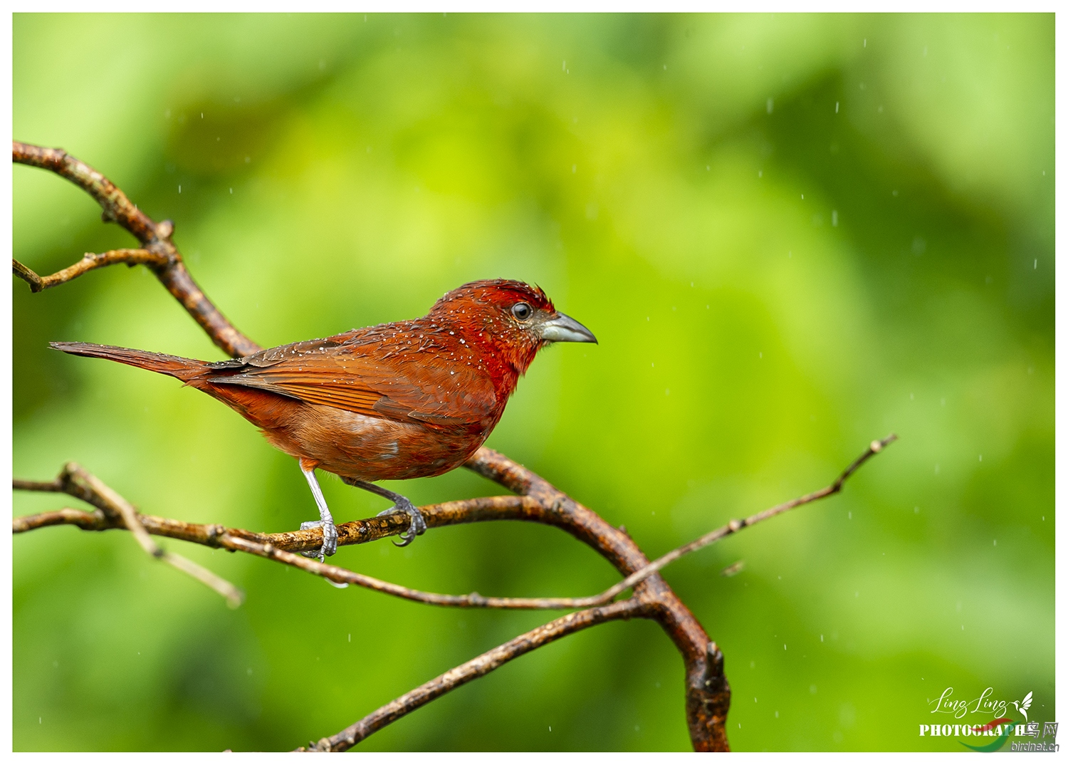5���t���Ƽ{ȸDSC_7370.jpg