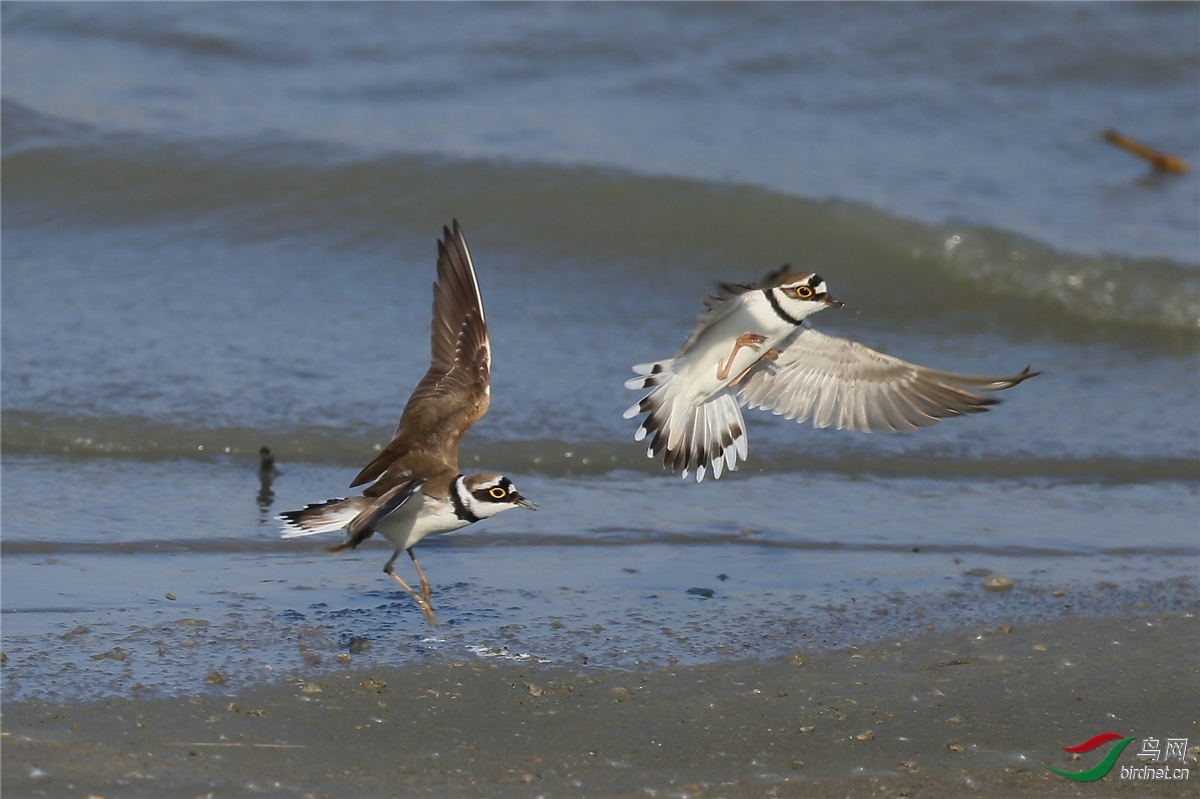 ��Ϳ�� ��ʦ������.jpg