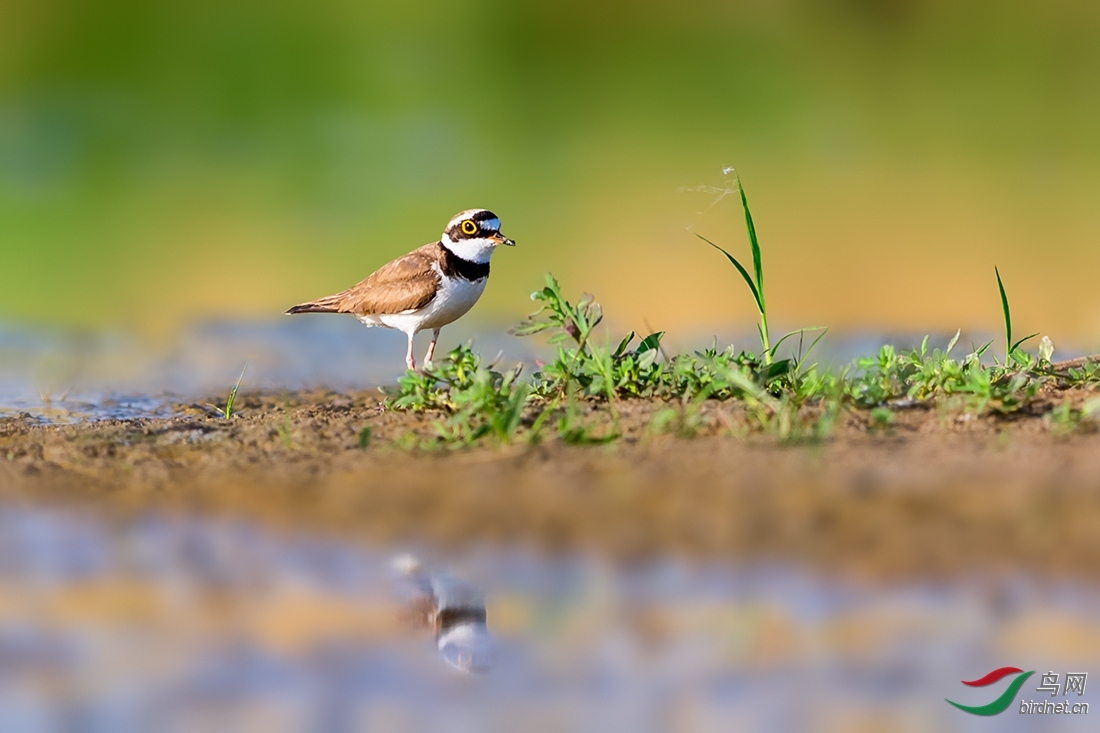 ��Ҷ2005 ��ʦ�����ں�����ʡ���������.jpg