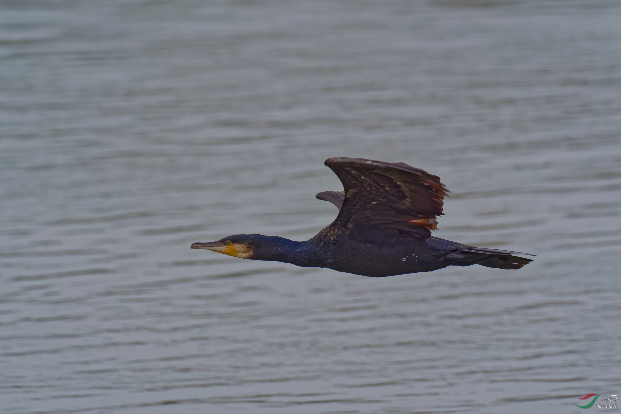 P1082198_DxO-d2.jpg