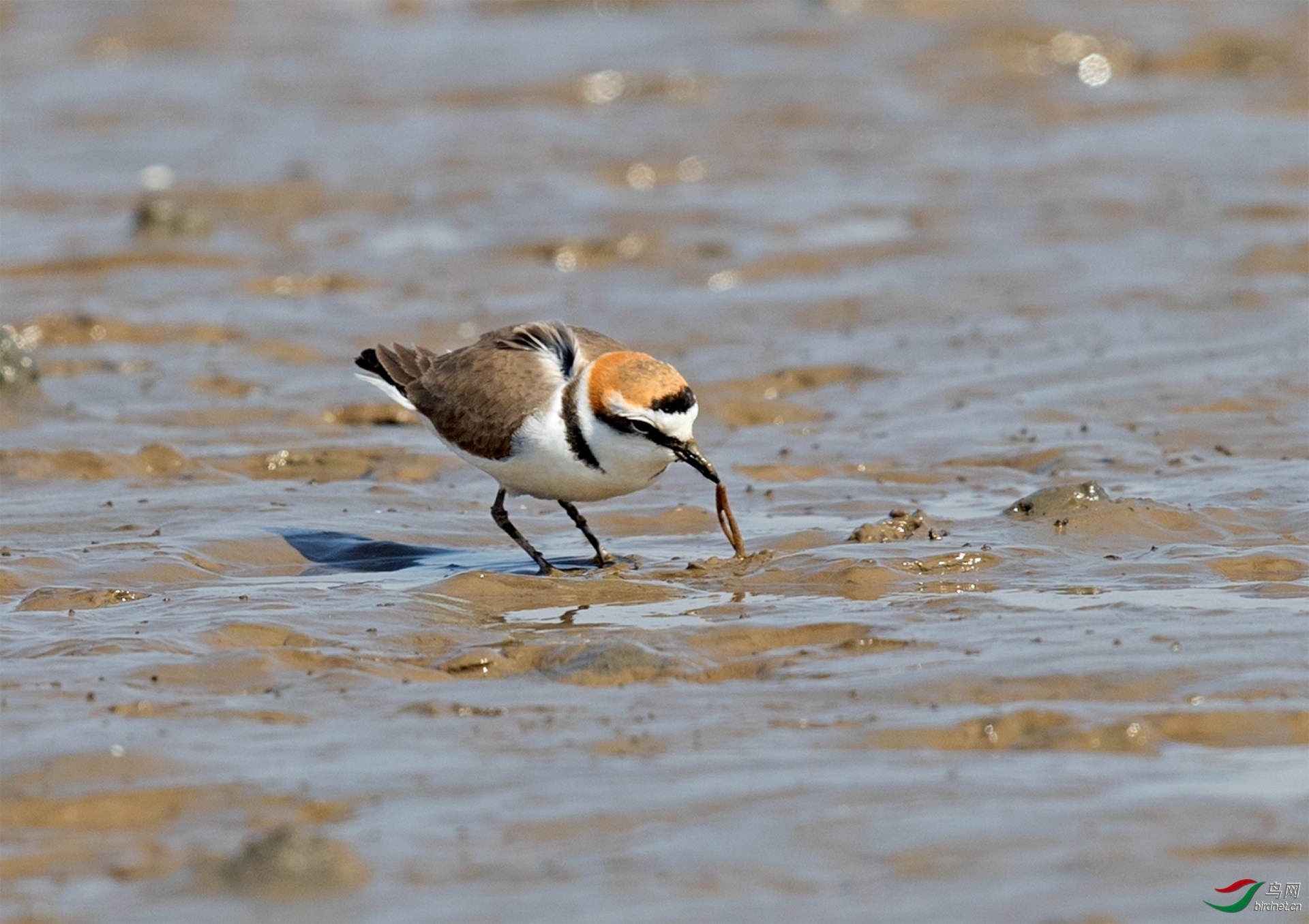 һ·���� ��ʦ����.jpg