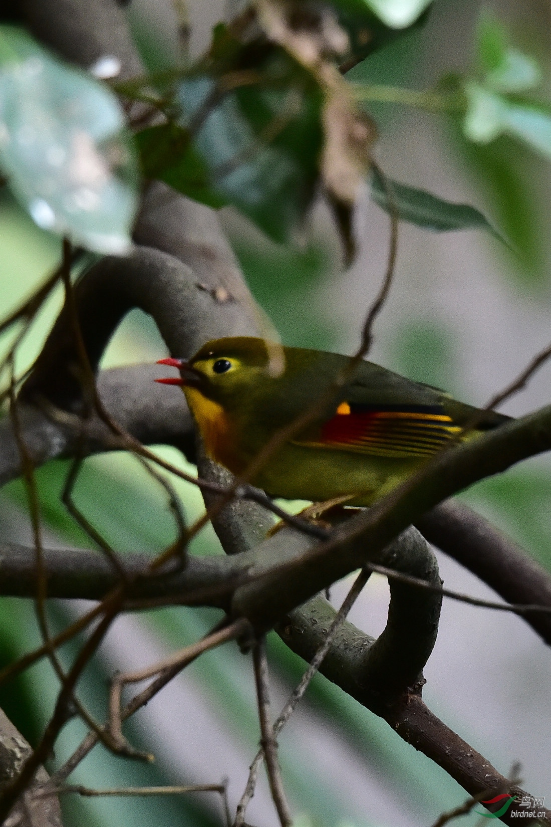 DSC_0897.JPG