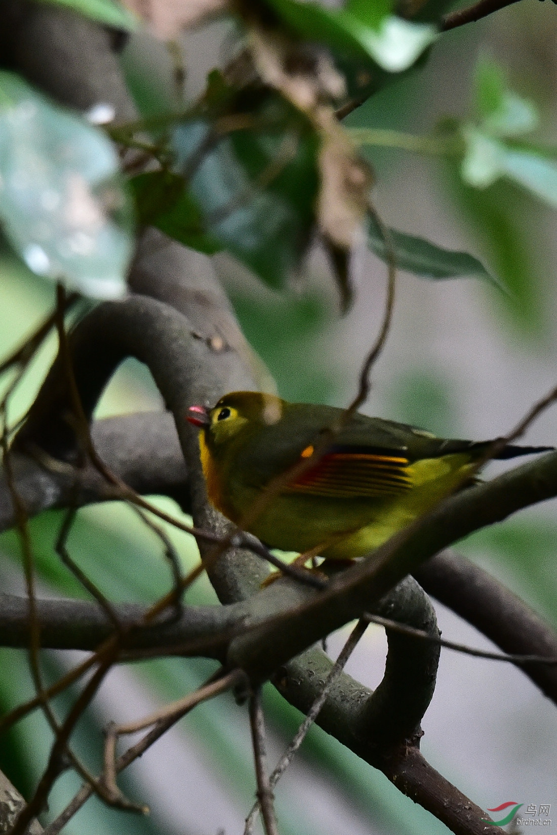 DSC_0898.JPG
