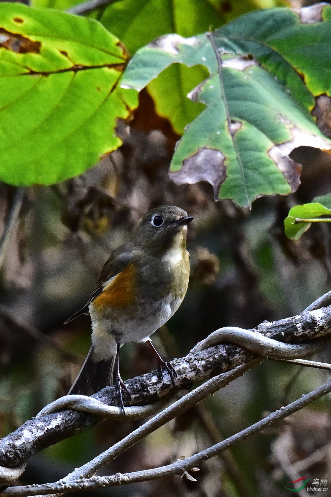 DSC_0748.JPG