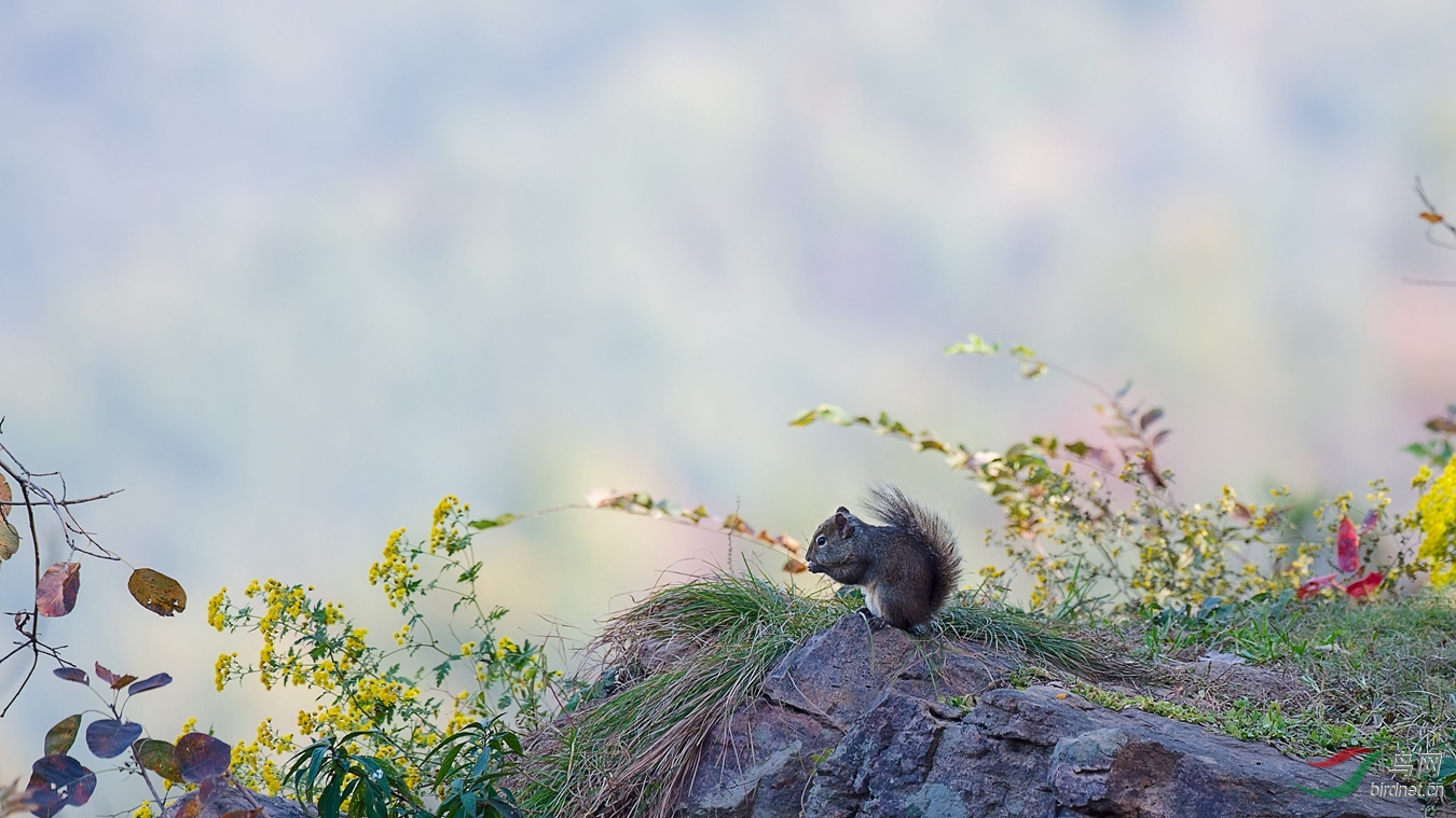 XCG_2706 - ���� (2).jpg