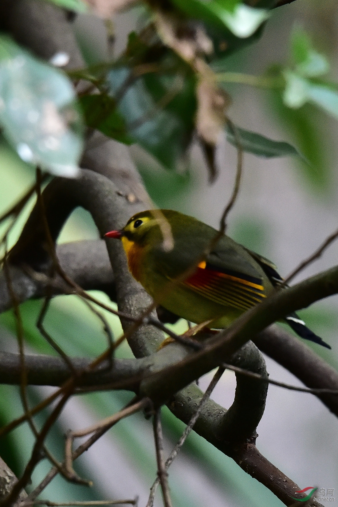 DSC_0900.JPG