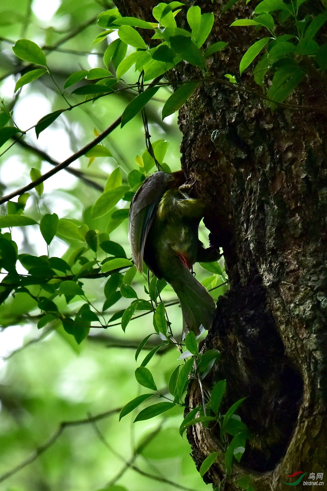 DSC_0087.JPG