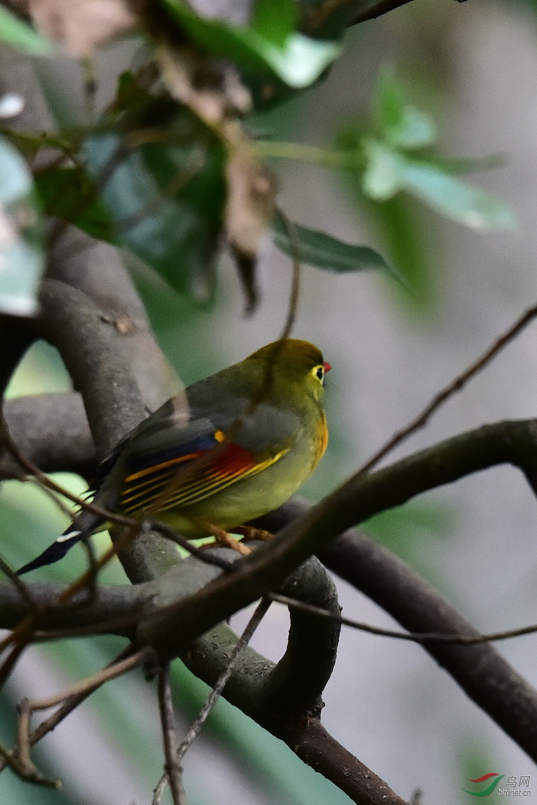 DSC_0901.JPG