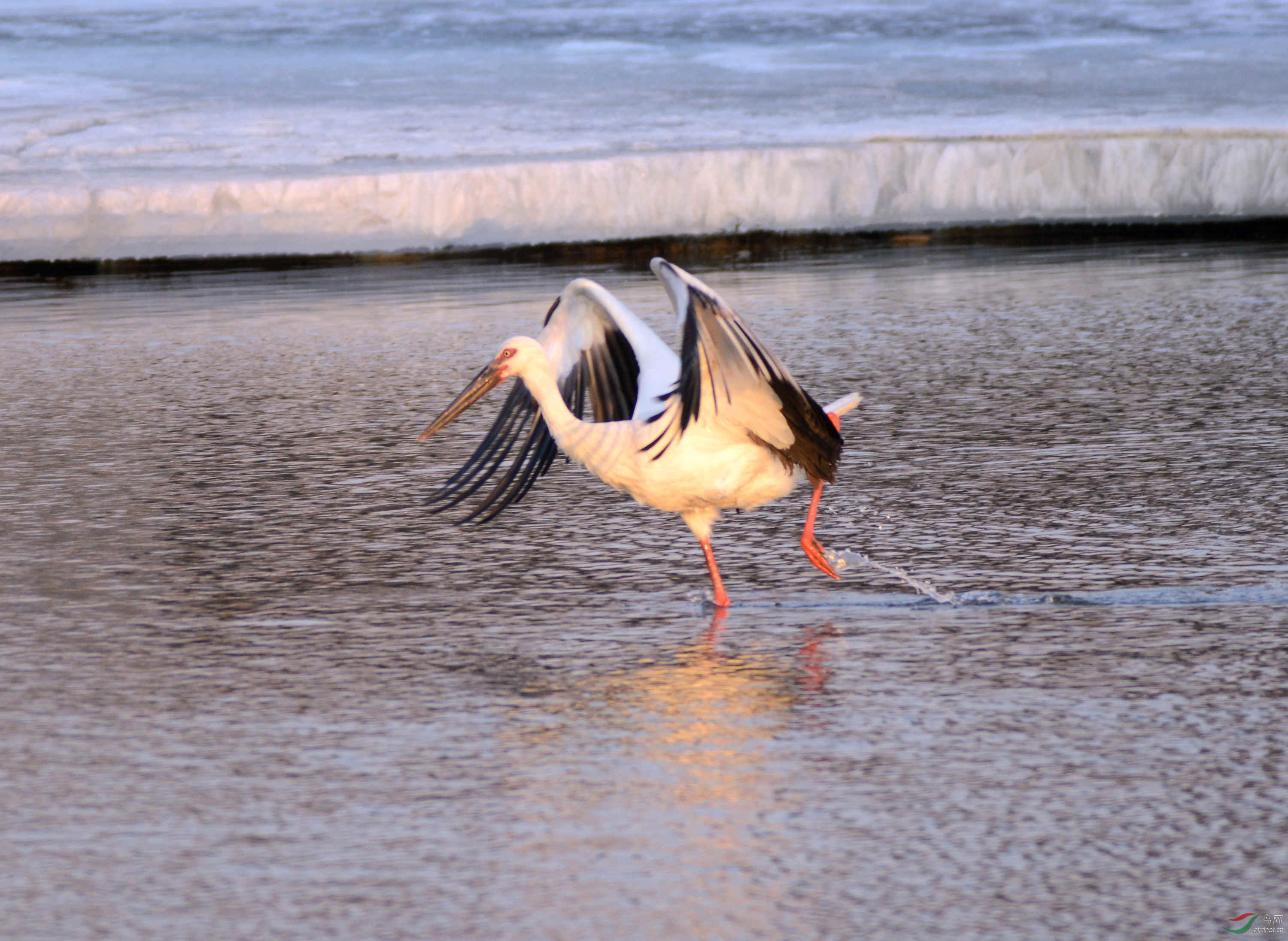 DSC_5836_���� - ����.jpg