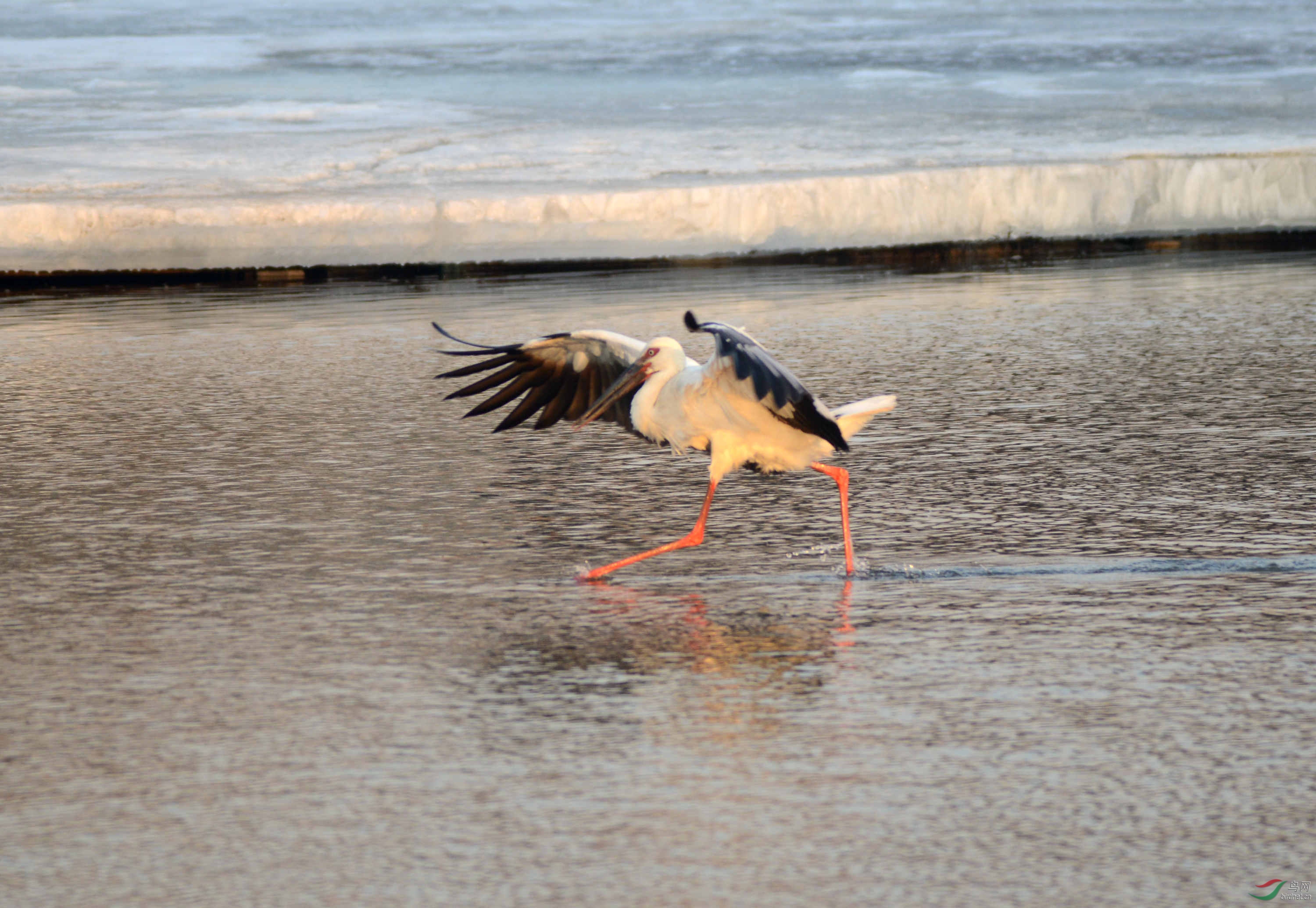 DSC_5837_���� - ����.jpg