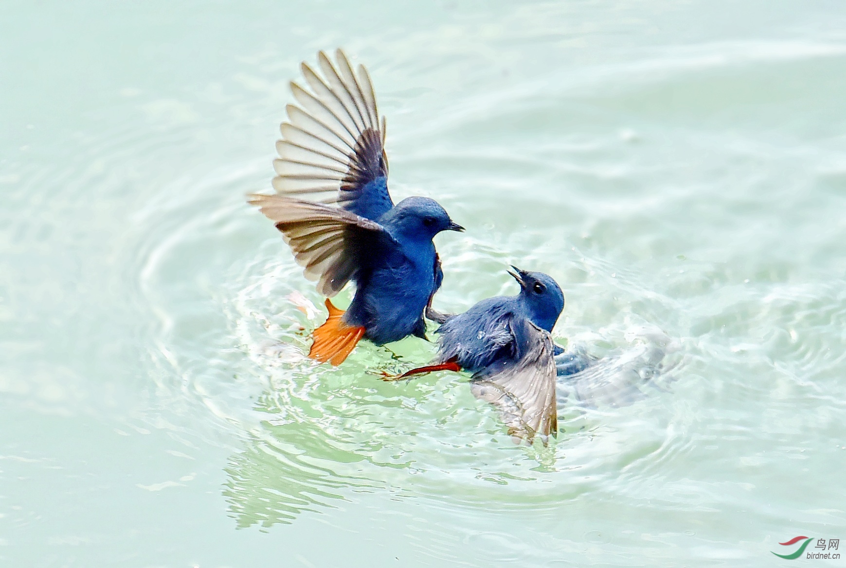 DSC_0002_conew2.jpg