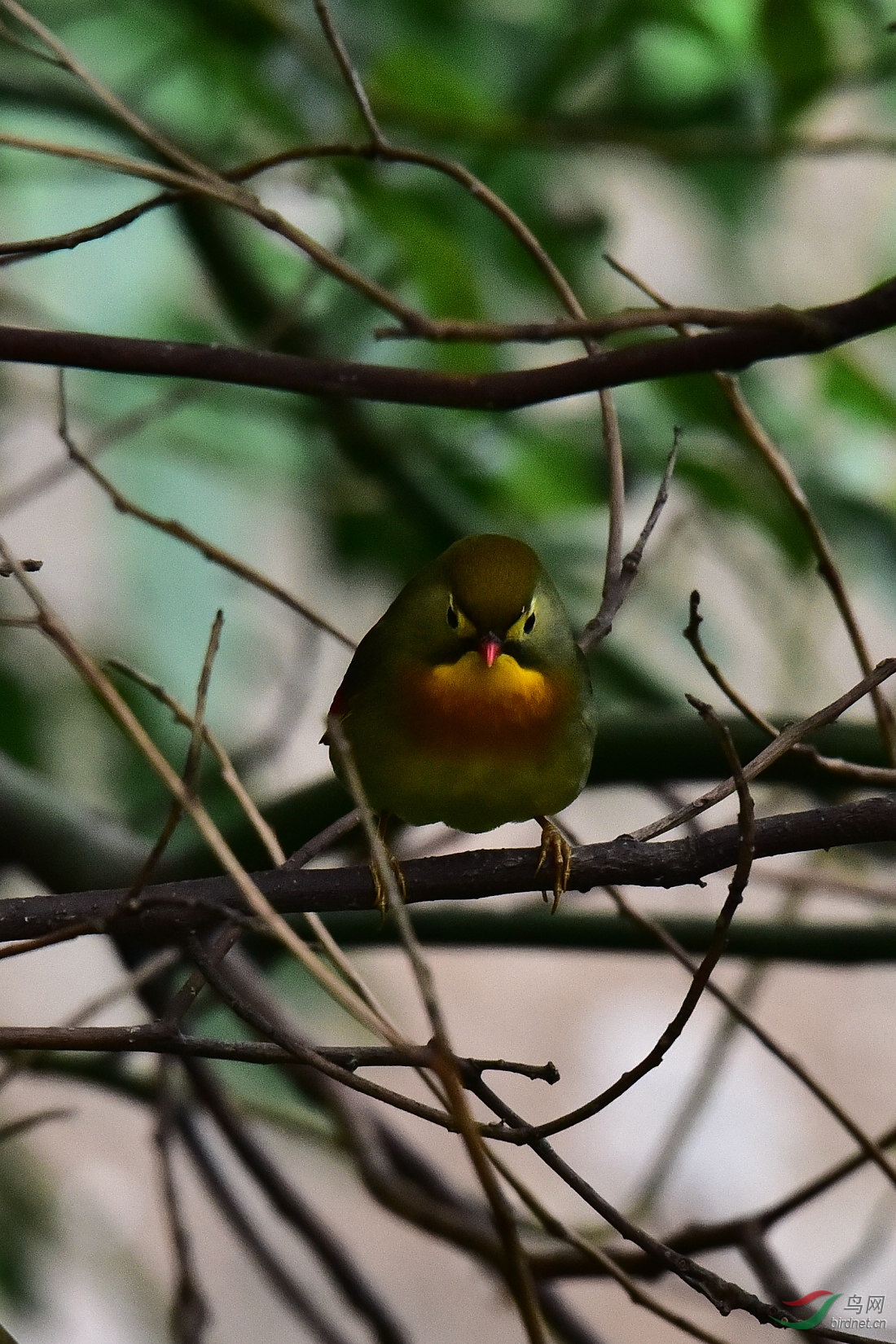 DSC_0911.JPG