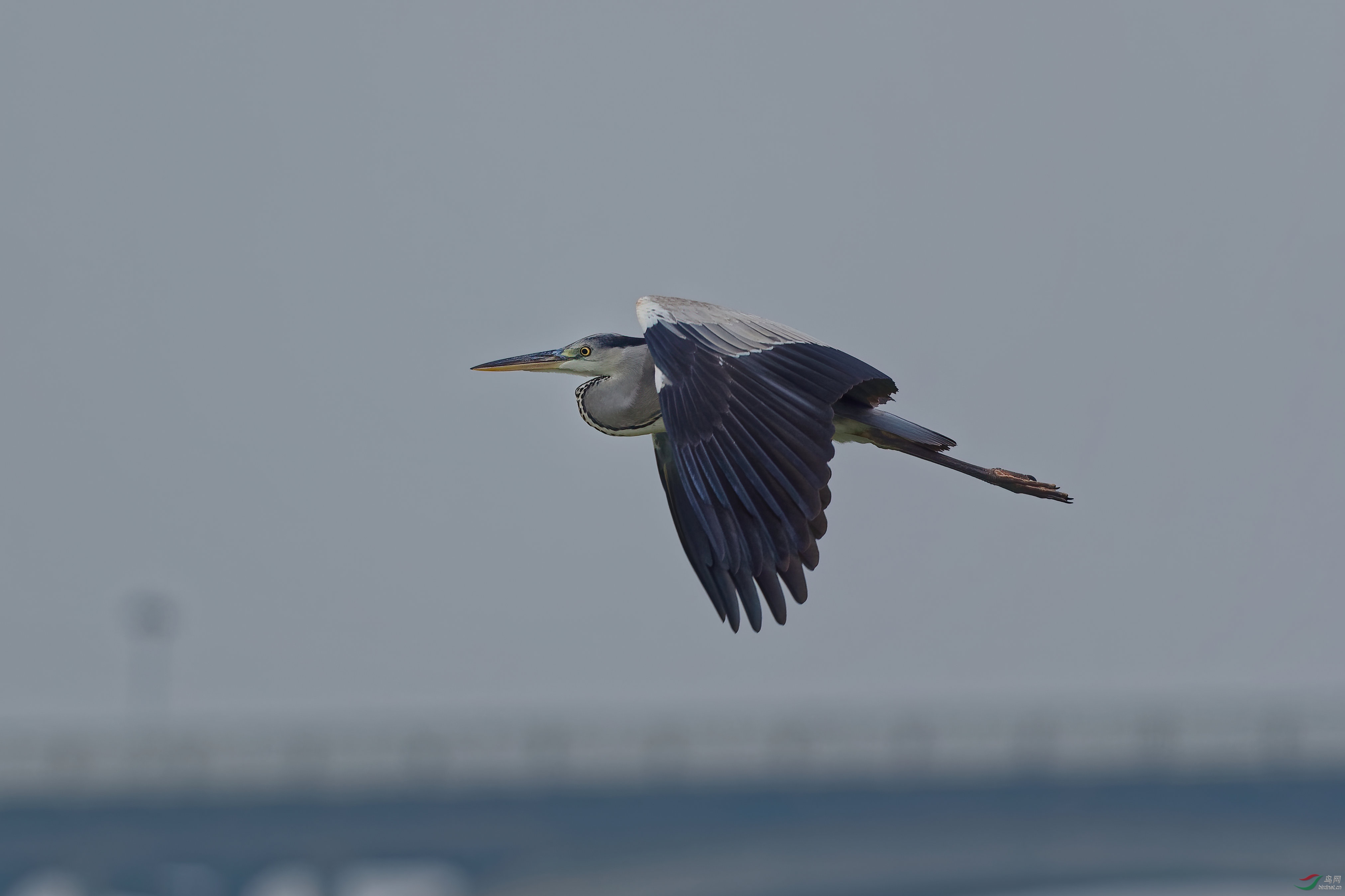 P1082432_DxO-d2.jpg