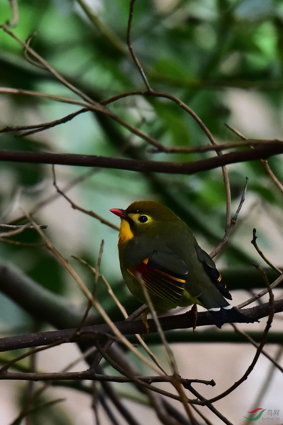 DSC_0913.JPG