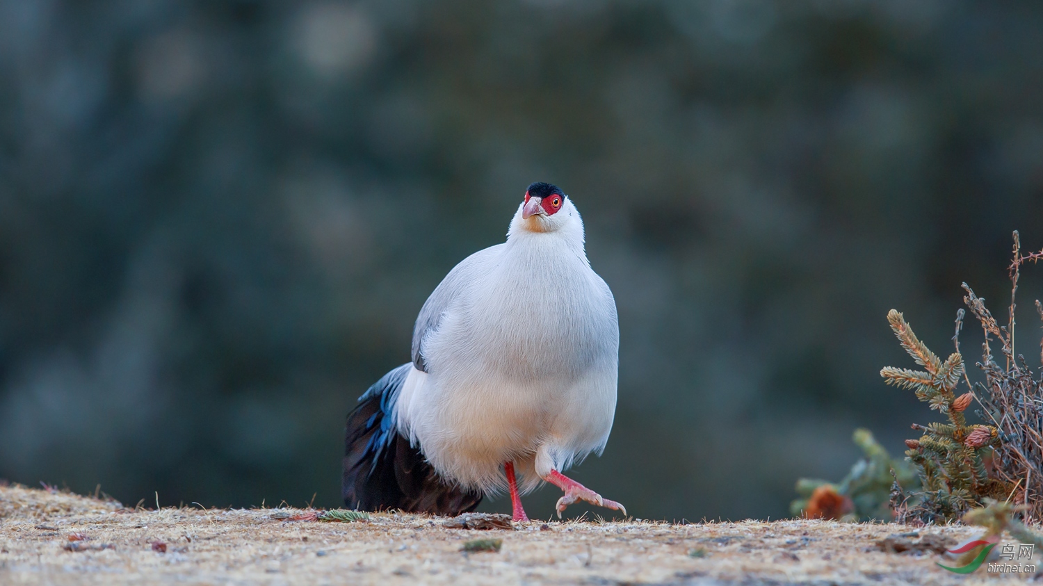 AP0O2515-20.jpg