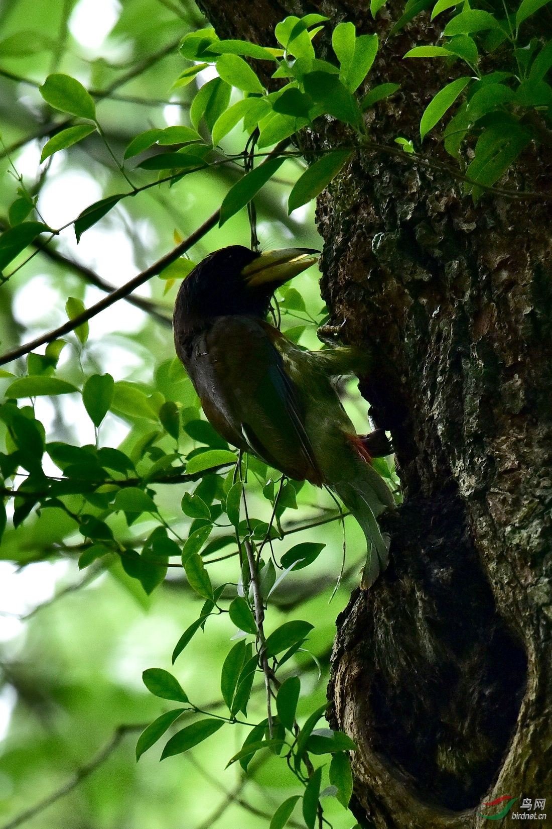 DSC_0089.JPG
