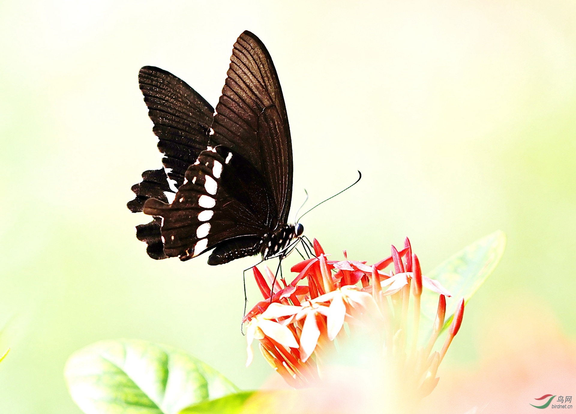 3C2A5386.JPG