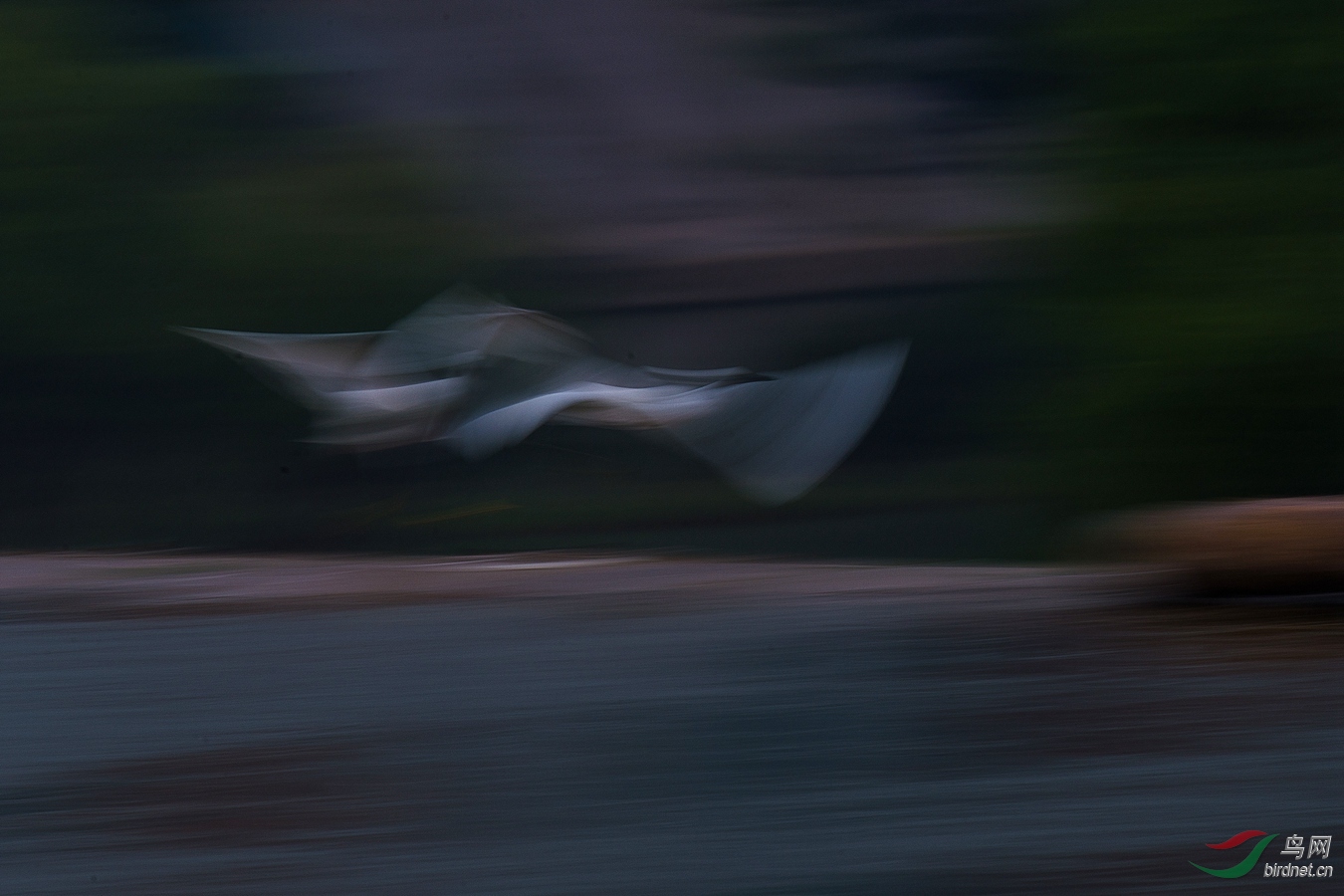 XCG_4094 - ����.jpg