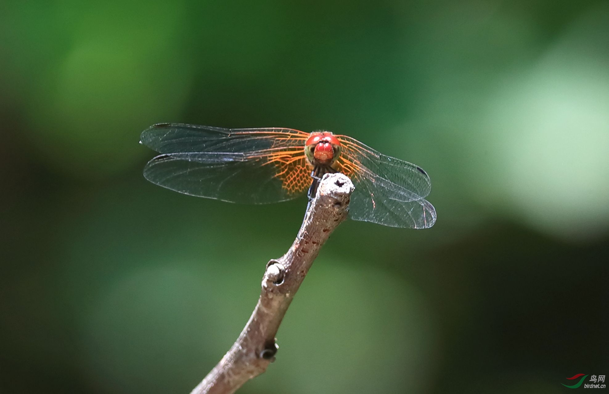 B93I3112_����.jpg