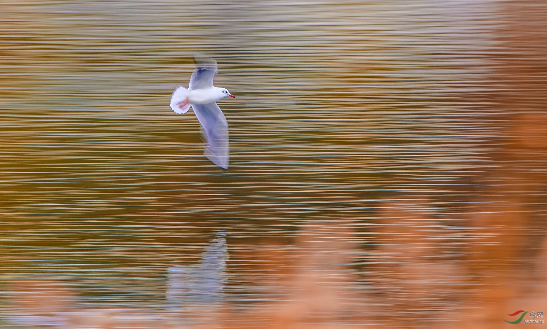 DSC_5535.jpg