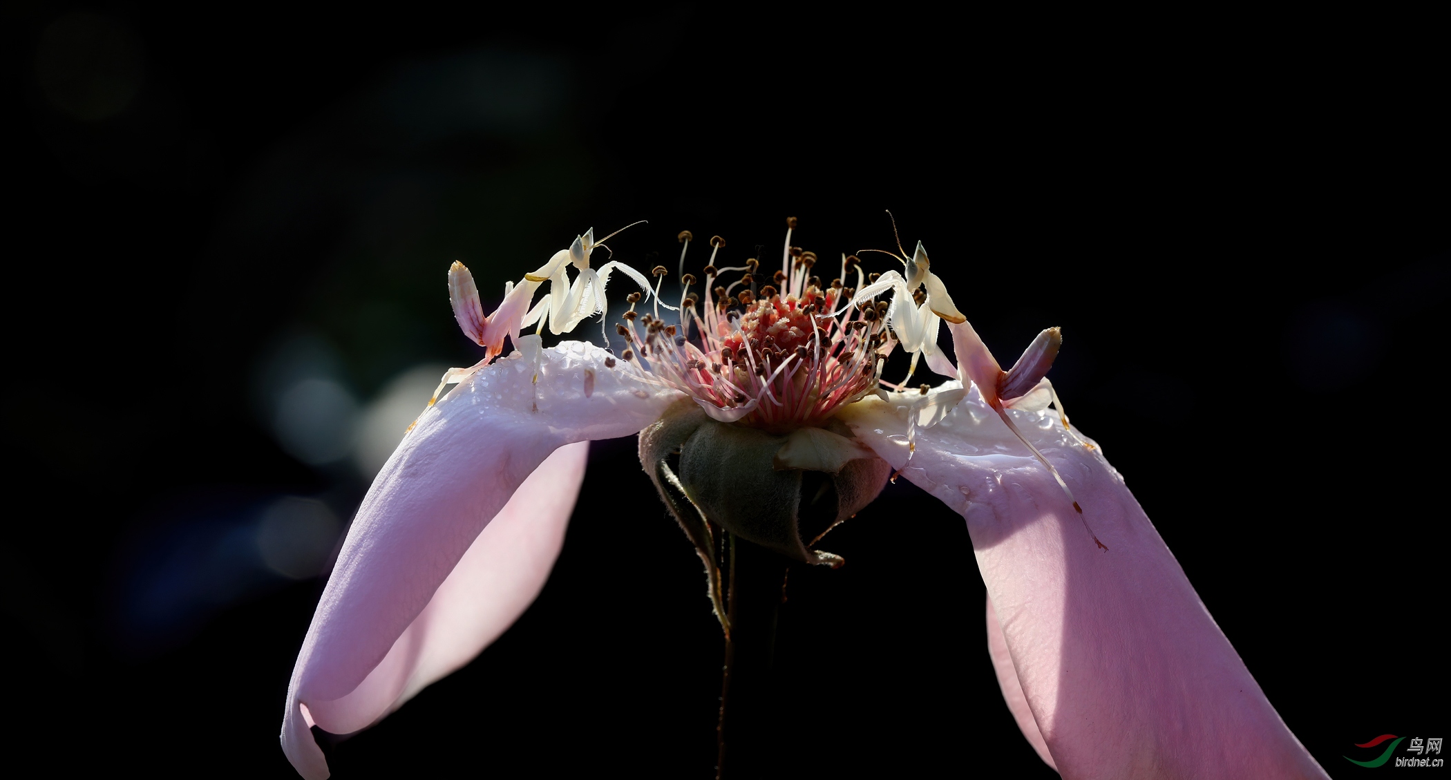 1S8A0349-0.jpg