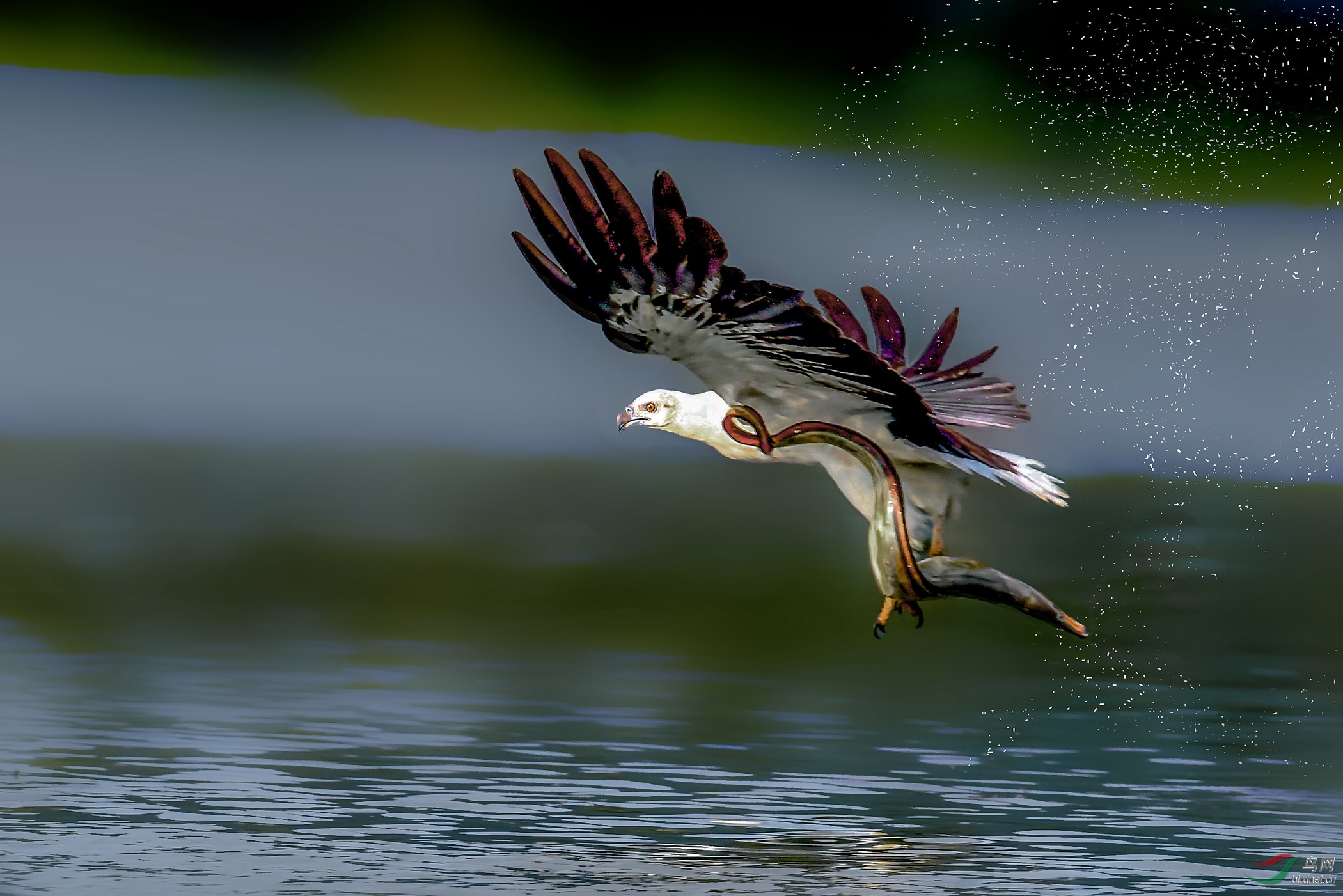 DSC_1218_���� (2)_����.jpg