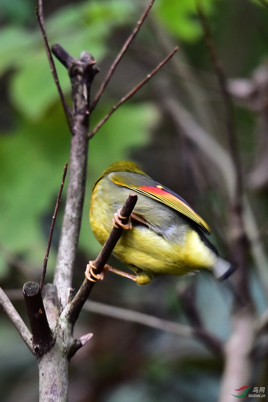 DSC_0930.JPG