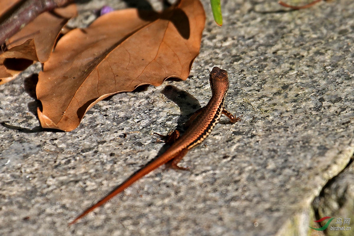IMG_6024.jpg