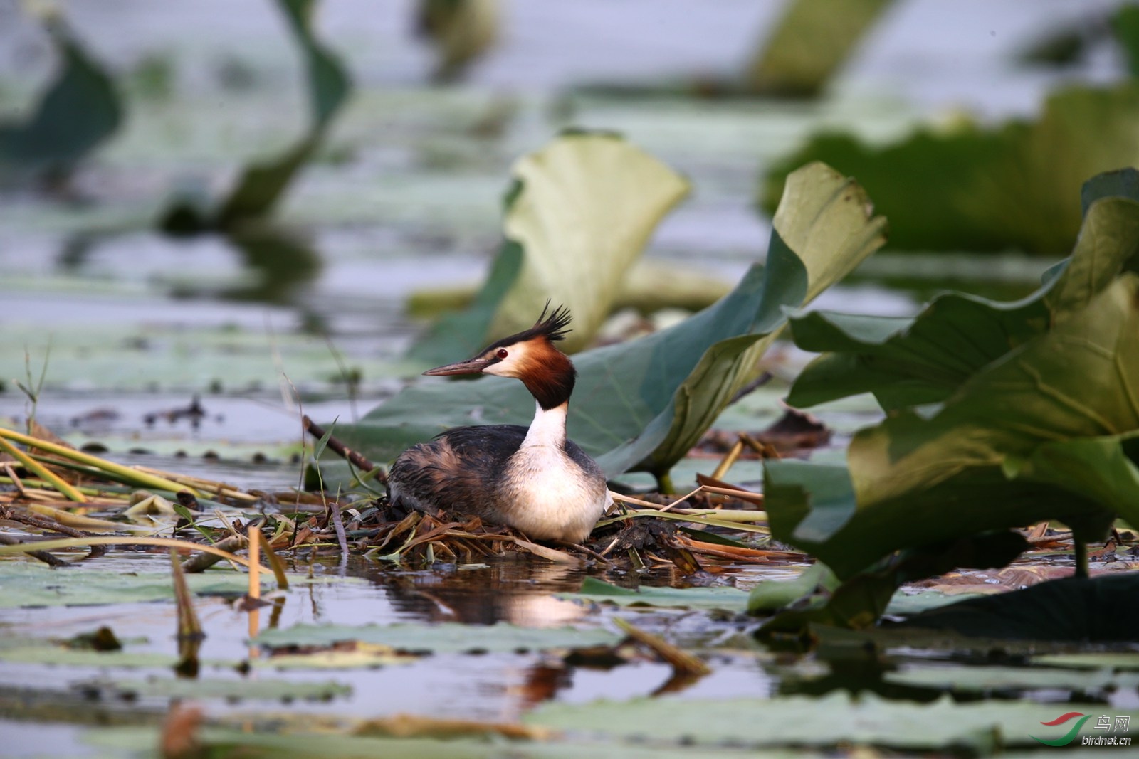 DJ4W2649.JPG