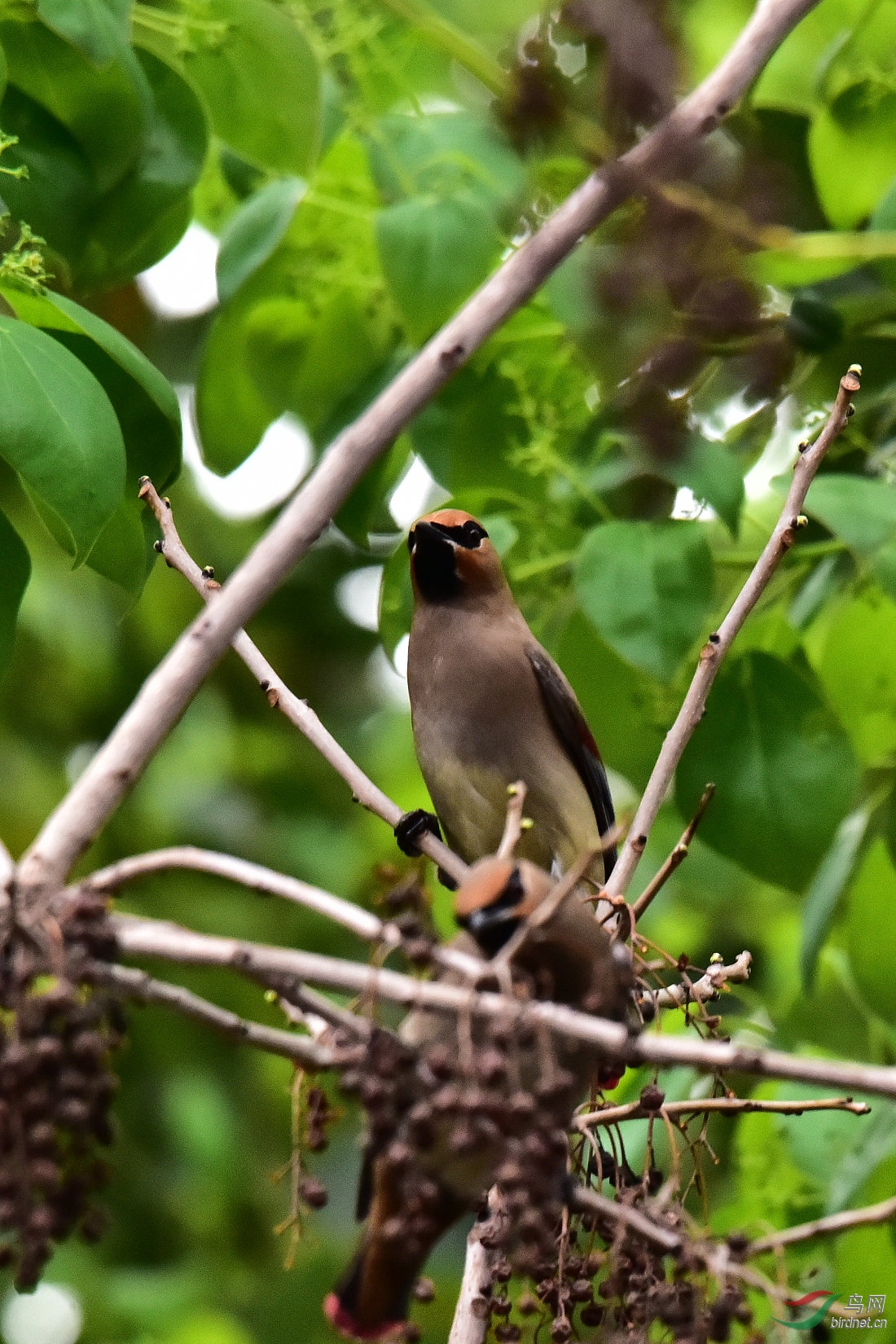 DSC_0932.JPG