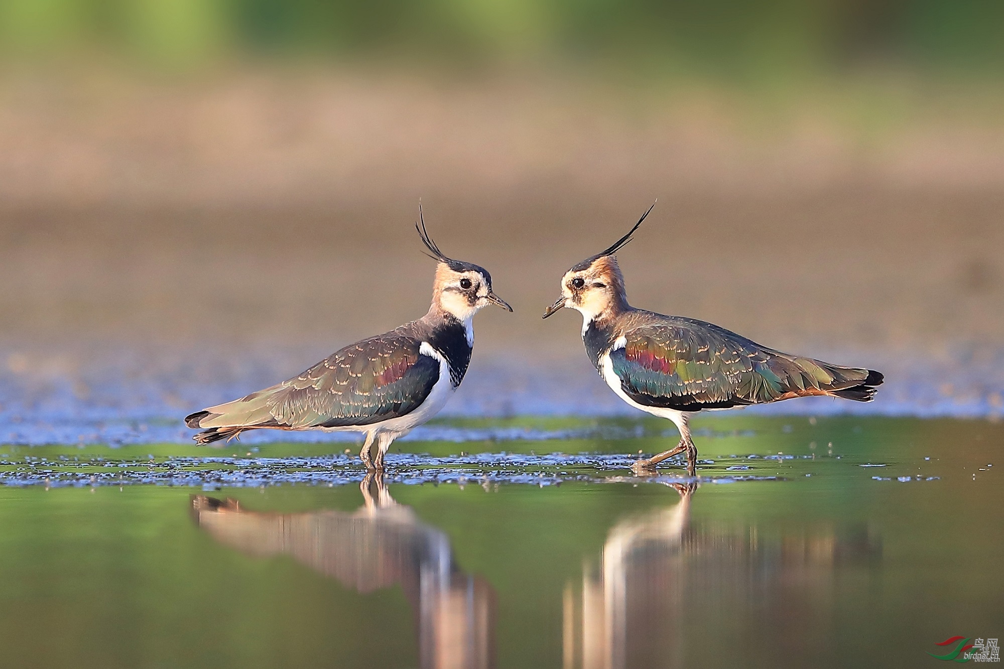 ��֮�� ��ʦ�����ں���ʡ�人��500.jpg